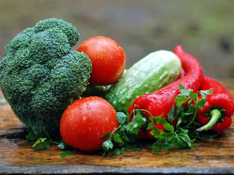 COM AFECTA EN ELS ALIMENTS EL CANVI CLIMÀTIC